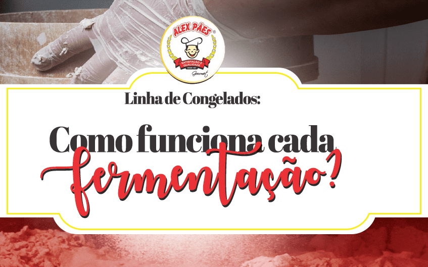 Linha de pães congelados: Como funciona cada Fermentação?